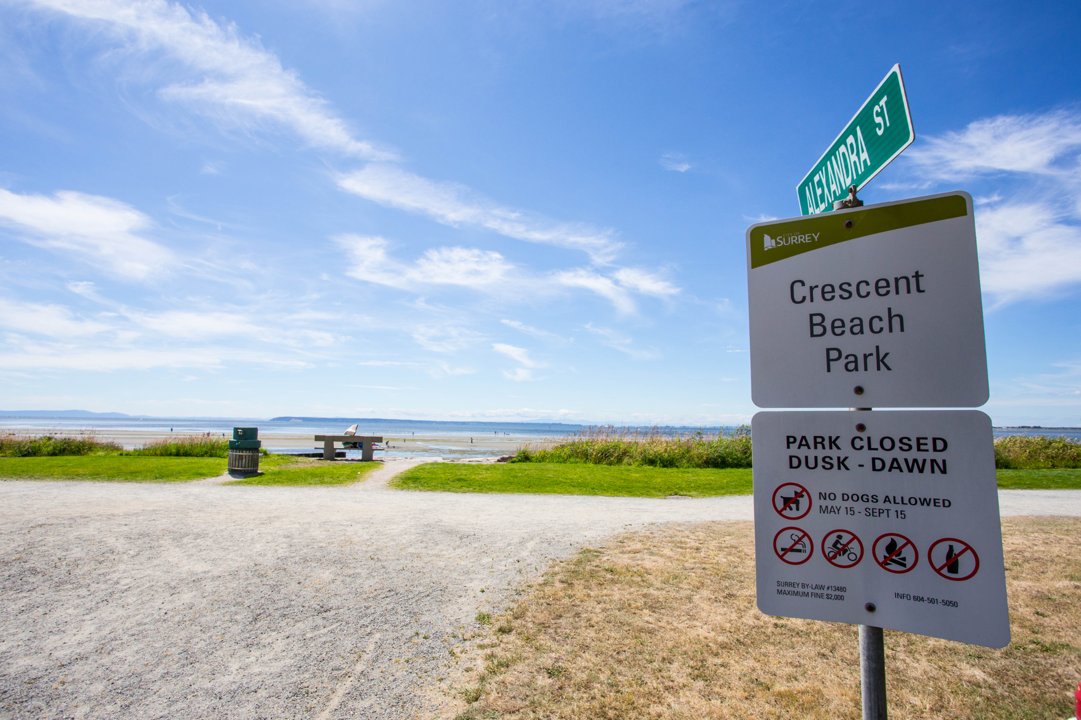 Surrey Real Estate.  What to Expect for the Rest of 2025.